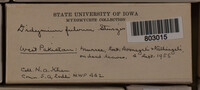 Image Associated With the Occurence